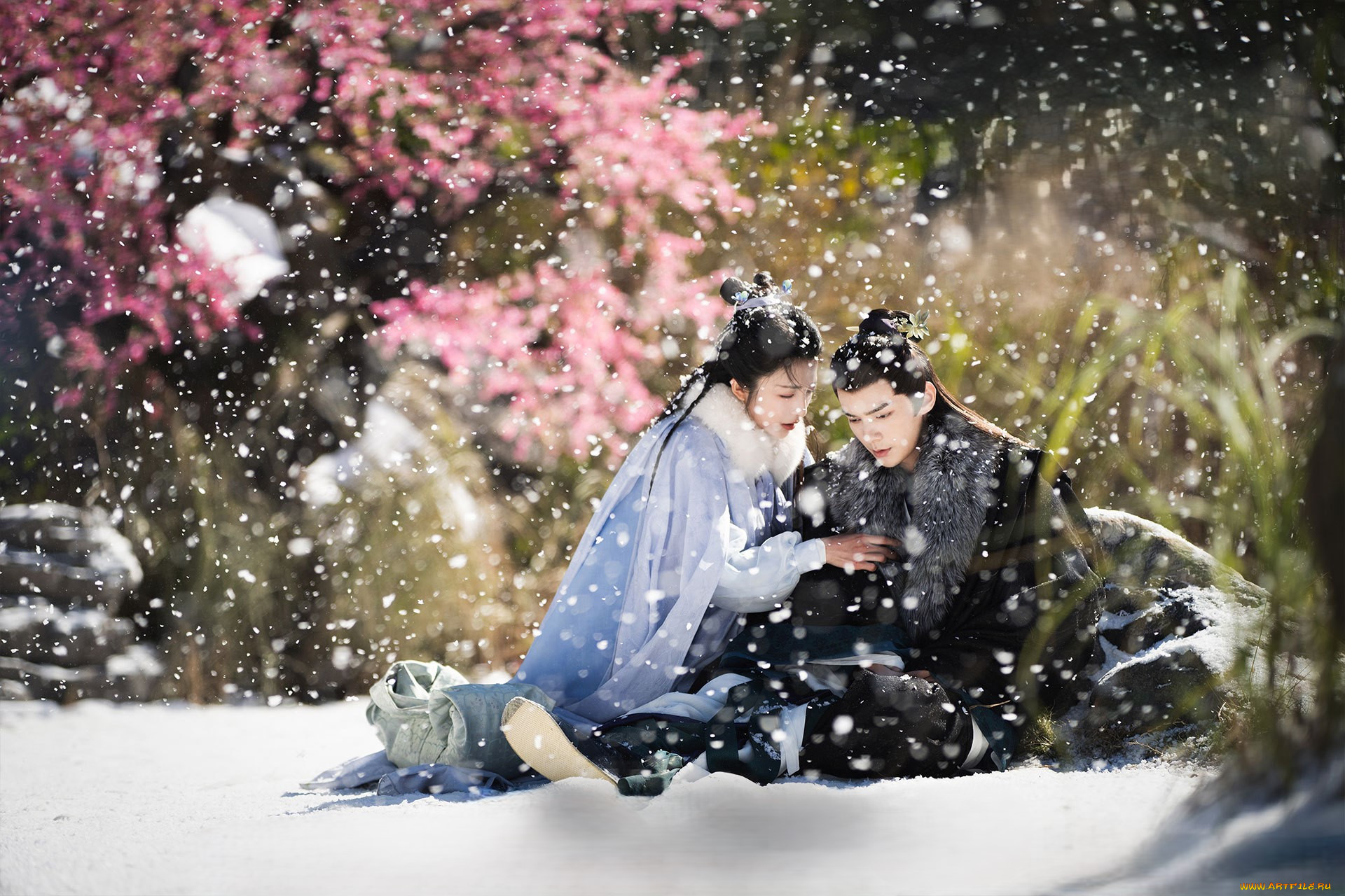 , love of petals, love, of, petals